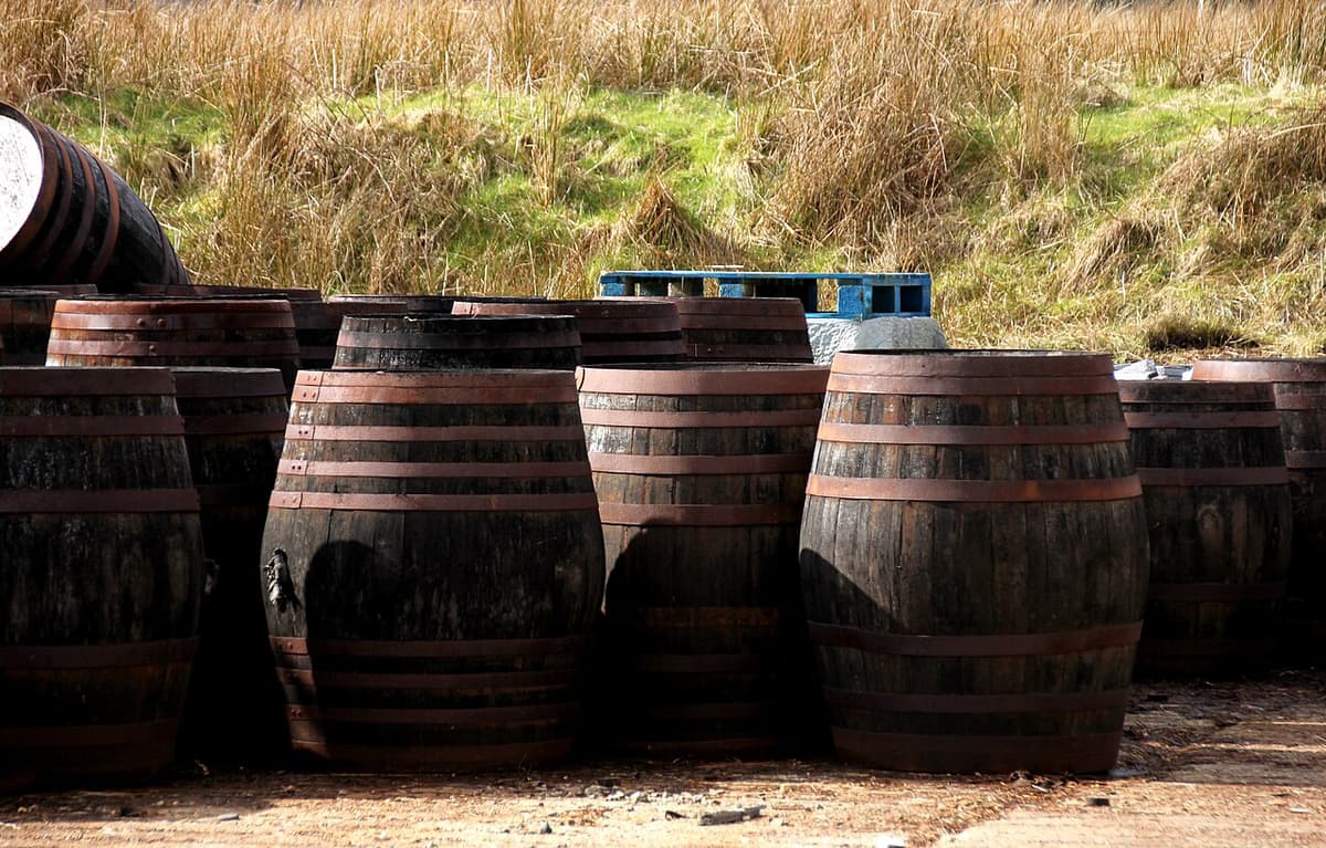 Old oak whisky casks stacked outside a distillery