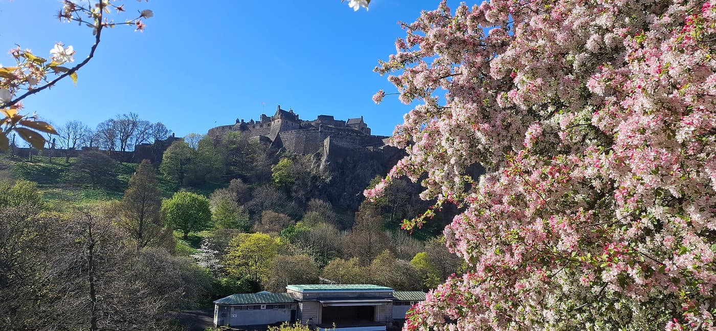Edinburgh Castle on its rock above Princes Street Gardens, framed by spring blossom