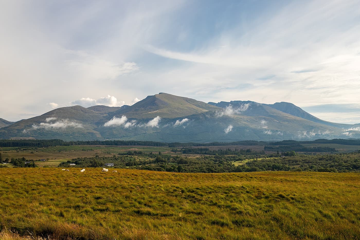 The broad bulk of Ben Nevis seen across open moorland
